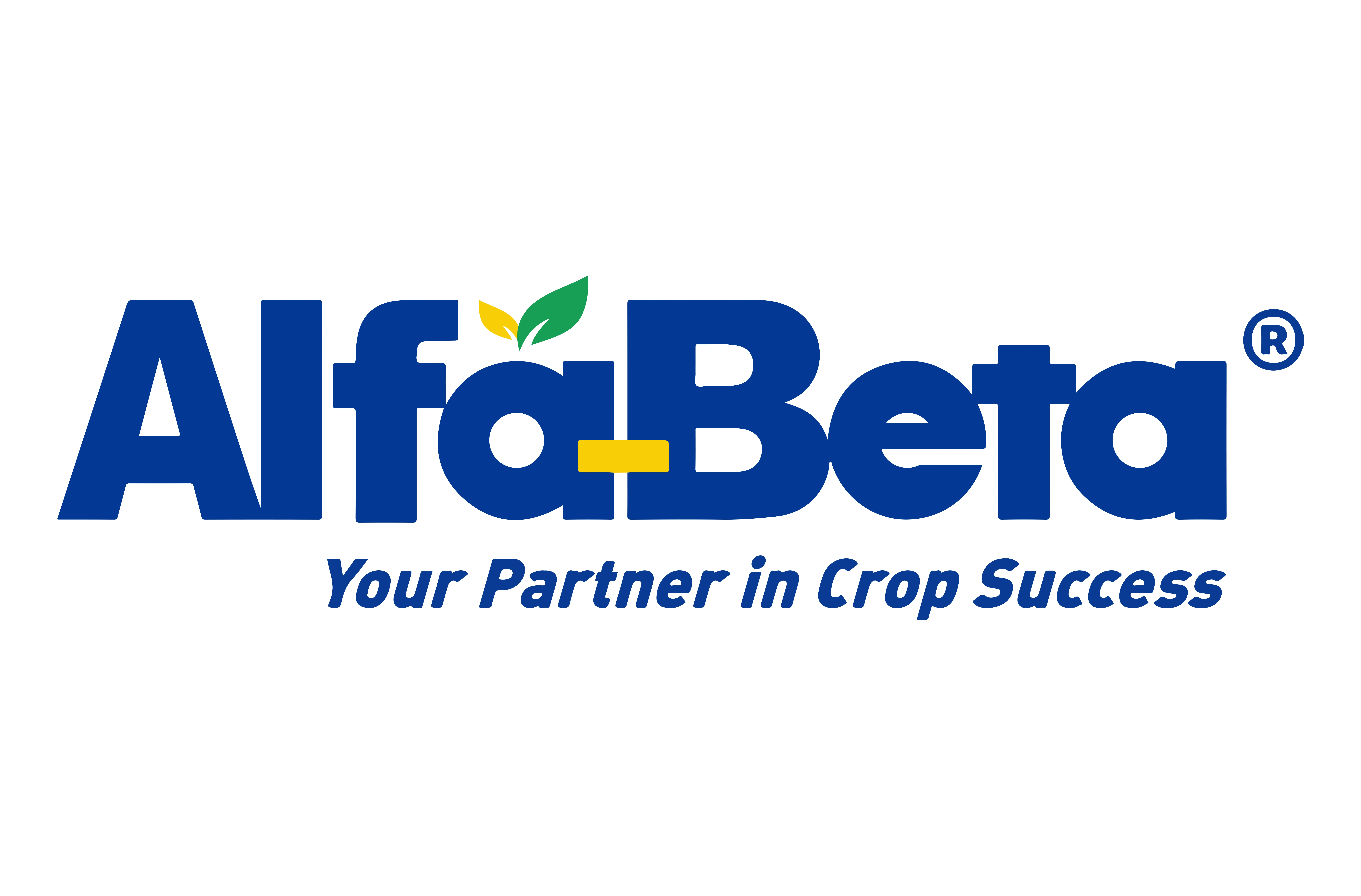 AlfaBeta